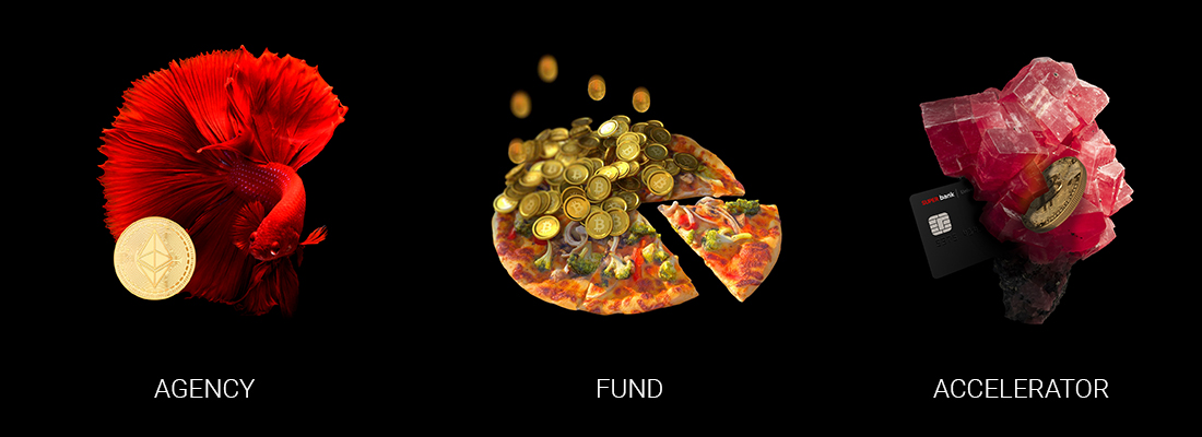 ecosystem